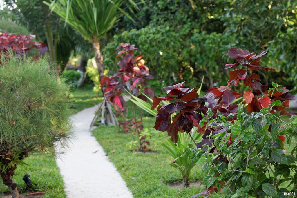 Analatsara Eco Lodge Ile aux Nattes Esterno foto